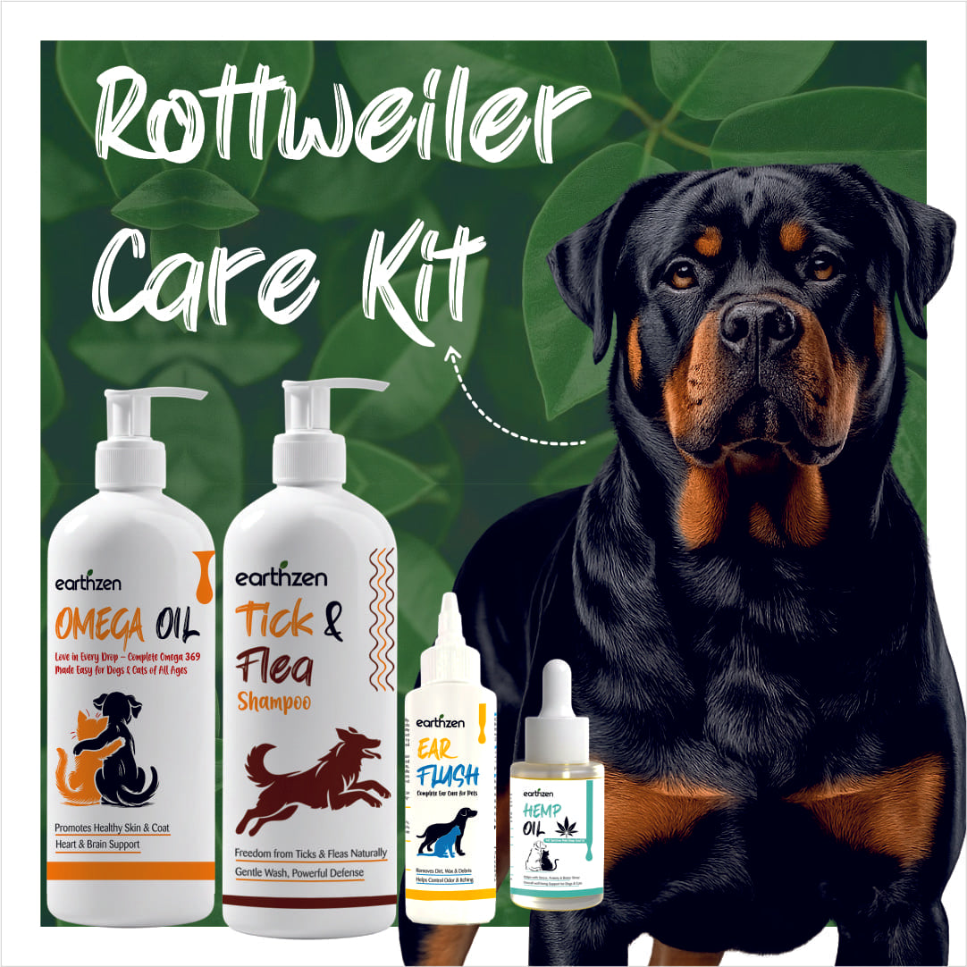 Rottweiler care kit with dog products on a green leafy background