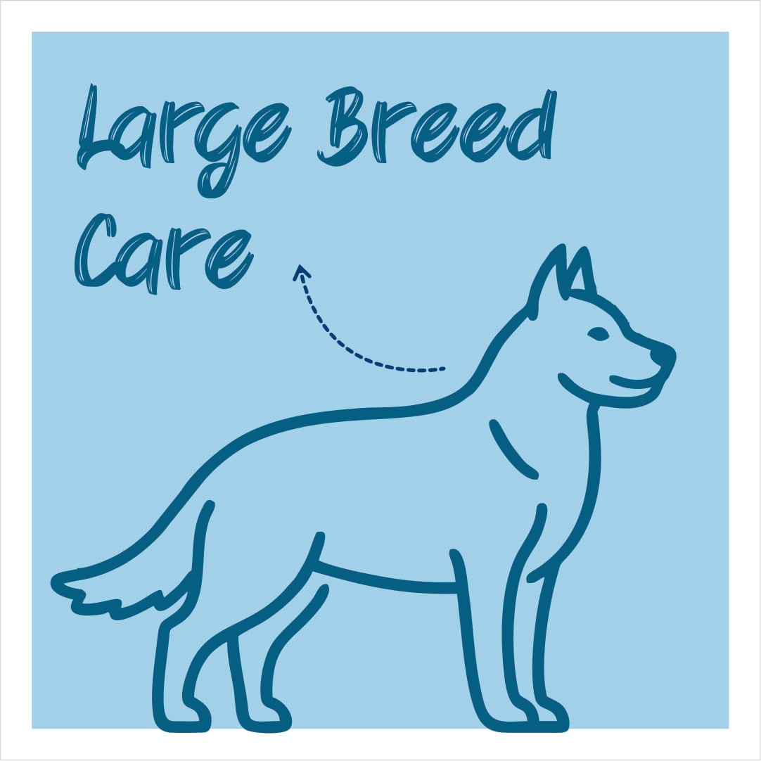 Large Breed Care Kits