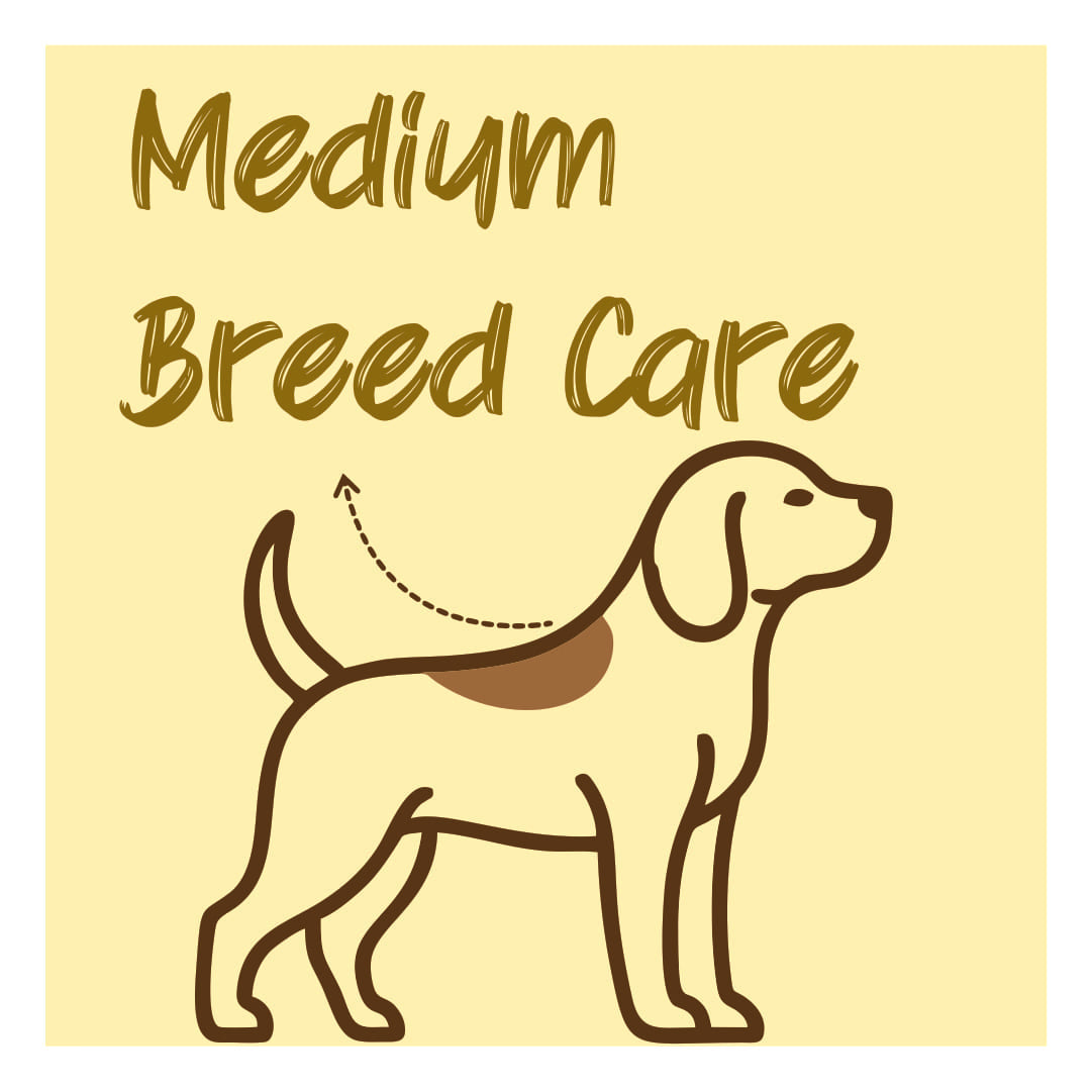 Medium Breed Care Kits