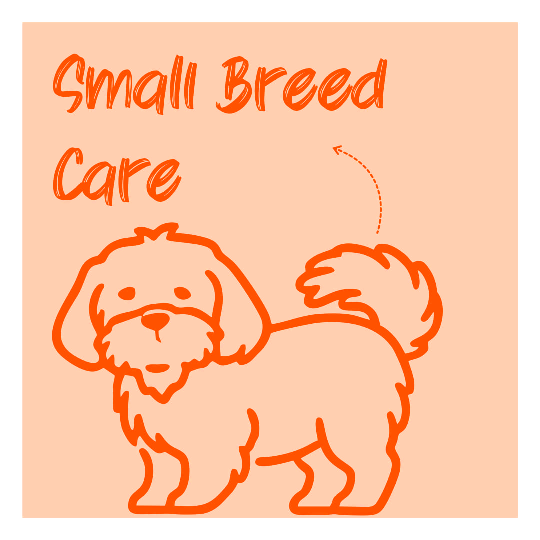 Small Breed Care Kits