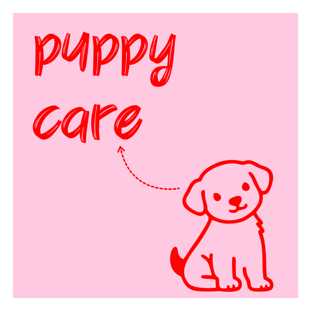 Puppy Starter Care Kits