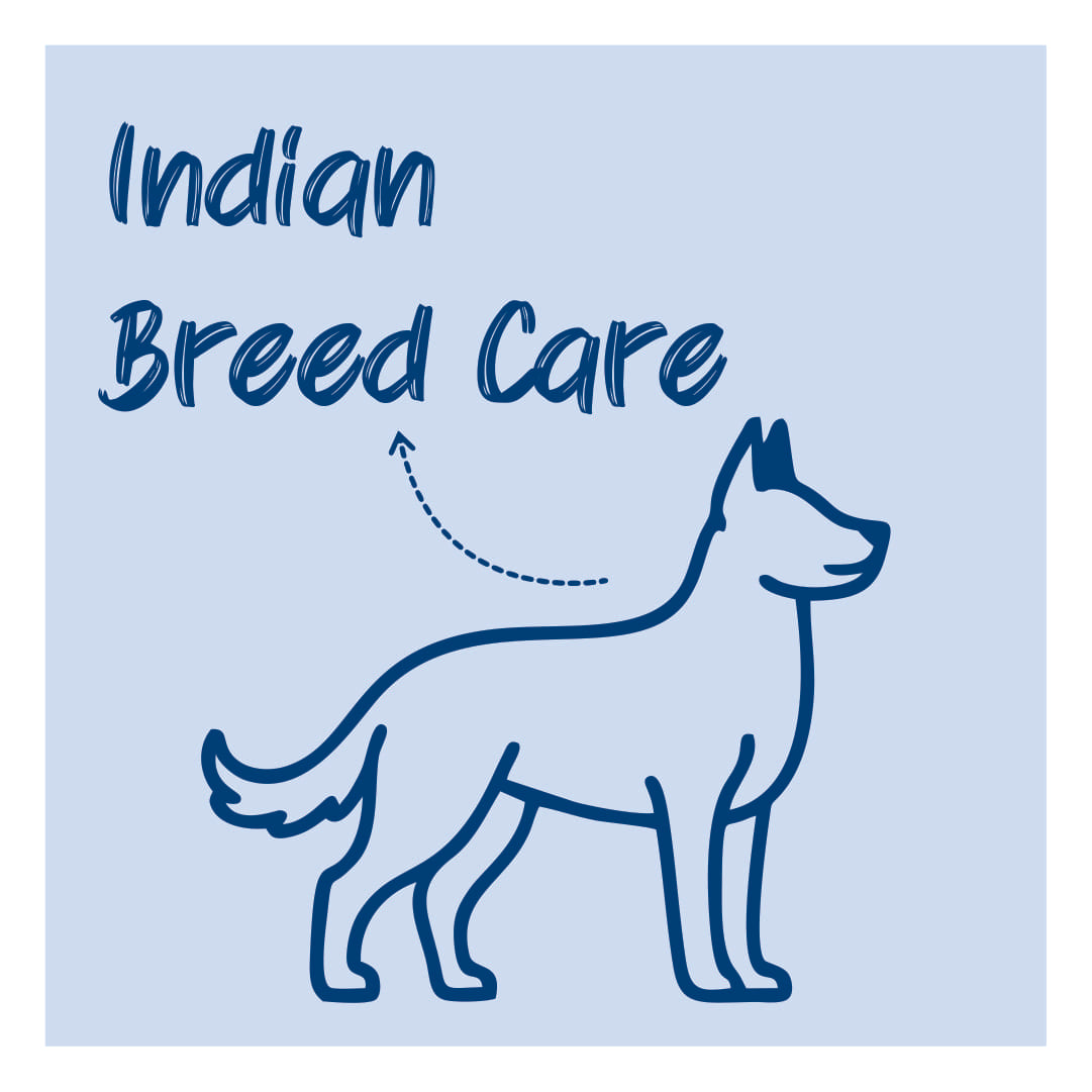 Indian Breed Care Kits