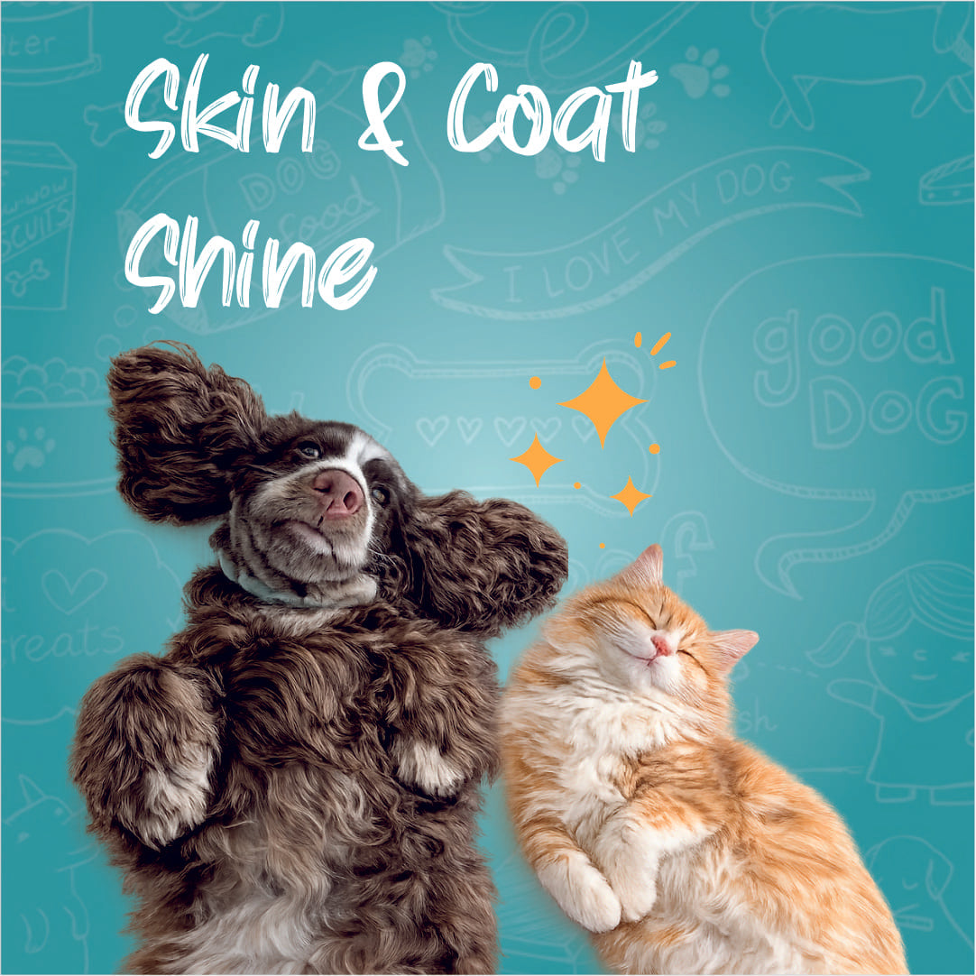 Skin & Coat Shine