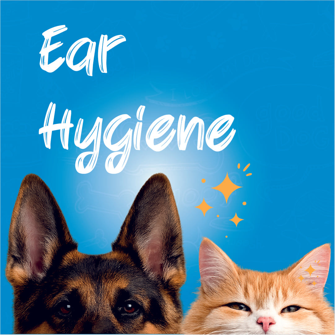Ear Hygiene
