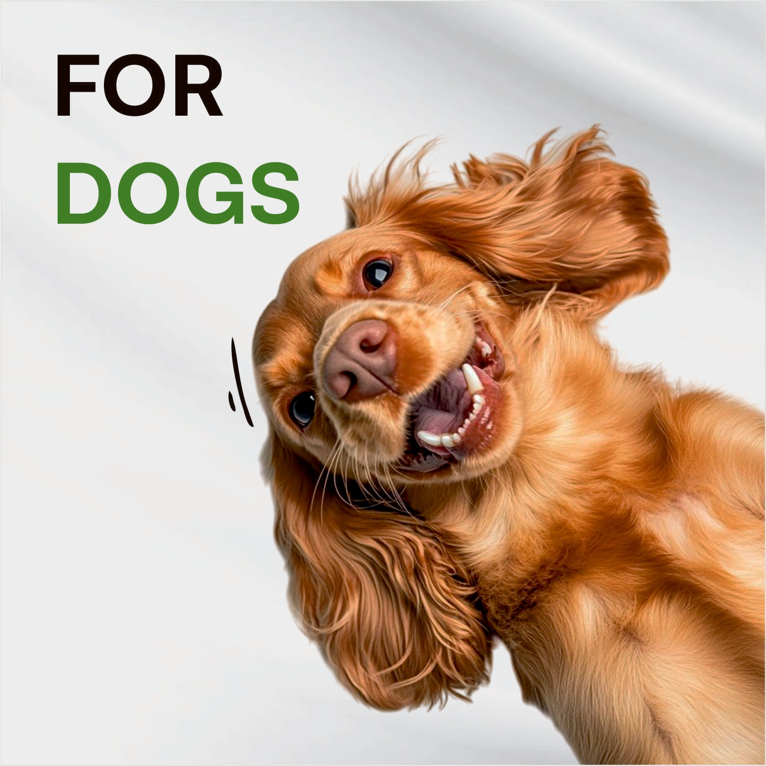 Dog with open mouth and 'FOR DOGS' text on a light gray background