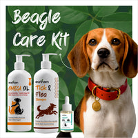 Beagle care kit with dog products and a beagle wearing a red collar.