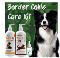 Border Collie Care Kit with three pet care products and a dog on a green leafy background