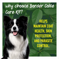 Border Collie dog with text about choosing a care kit for coat health, skin protection, and parasite control on a green leafy background.
