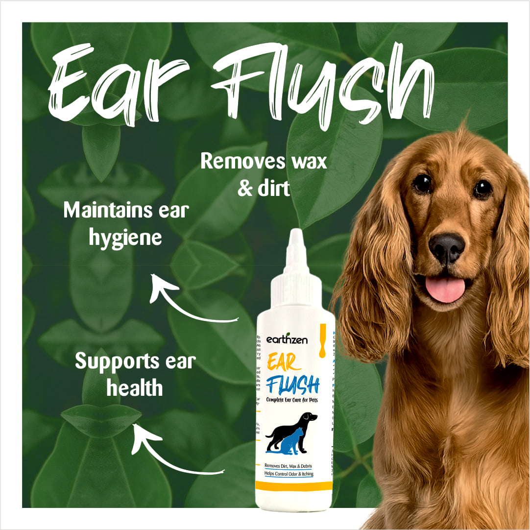Dog ear flush product with a dog on a green leafy background