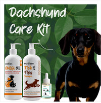 Dachshund care kit with three products on a green leafy background