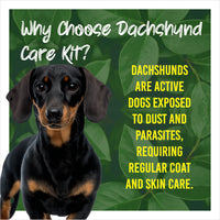 Dachshund with text about choosing a care kit on a green leafy background