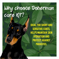 Doberman dog with text about Doberman care kit on a green leafy background