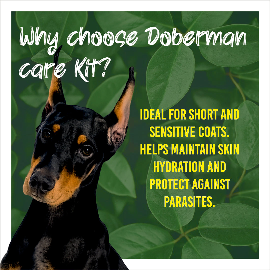 Doberman dog with text about Doberman care kit on a green leafy background