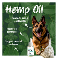 Dog with hemp oil bottle and text about benefits on a green leaf background