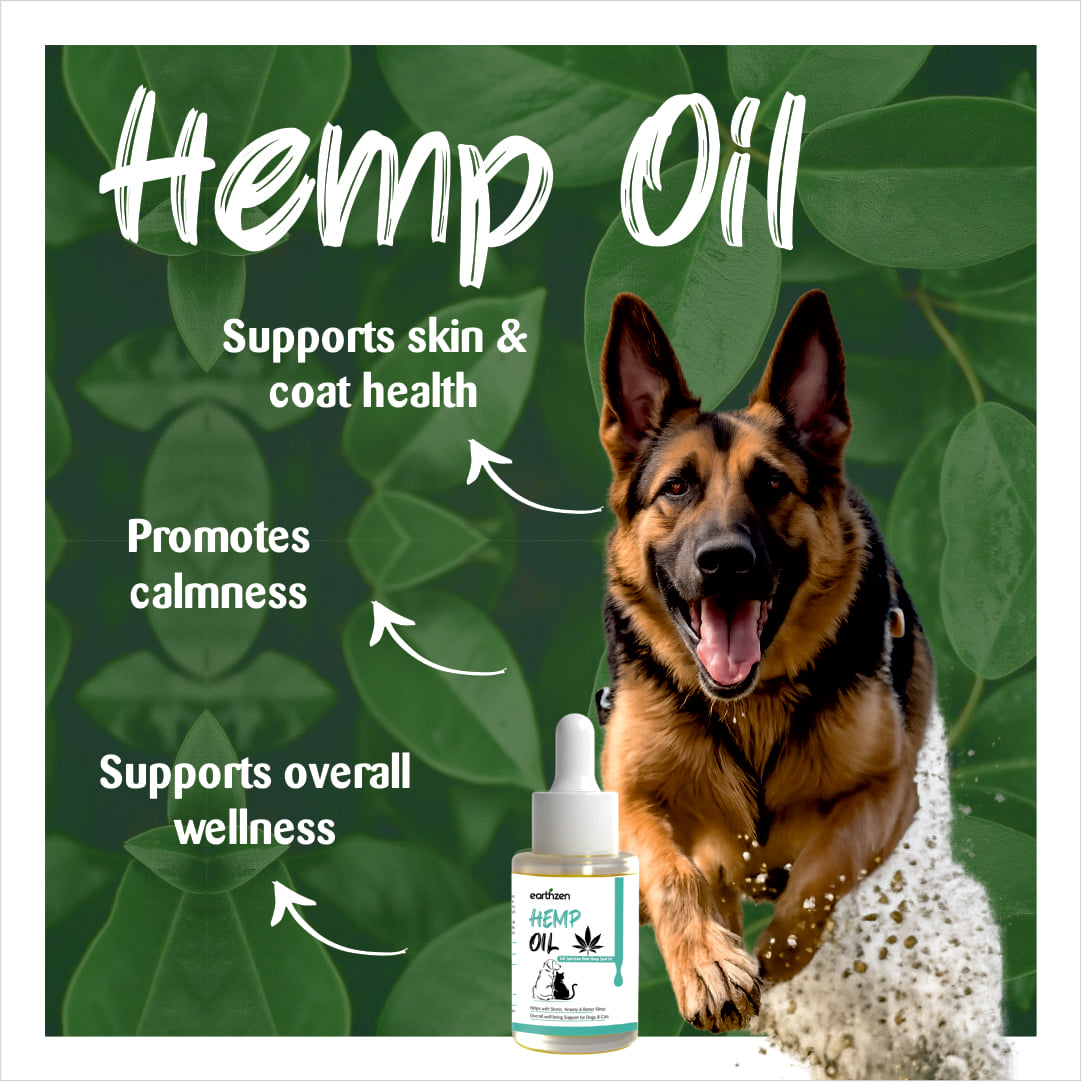 Dog with hemp oil bottle and text about benefits on a green leaf background