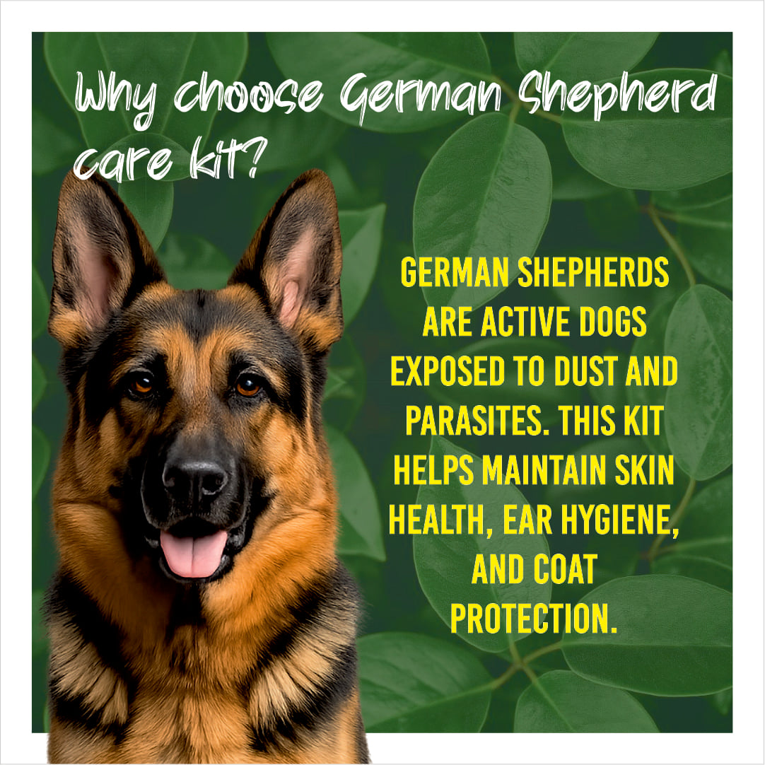 German Shepherd with text about choosing a care kit on a green leafy background
