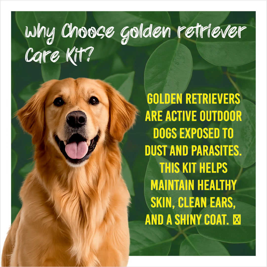 Golden retriever with text about choosing a care kit on a green leafy background