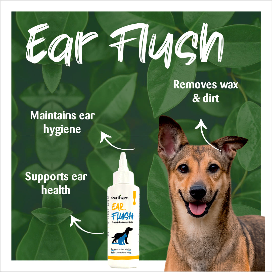 Dog ear flush product with a smiling dog and green leaves in the background