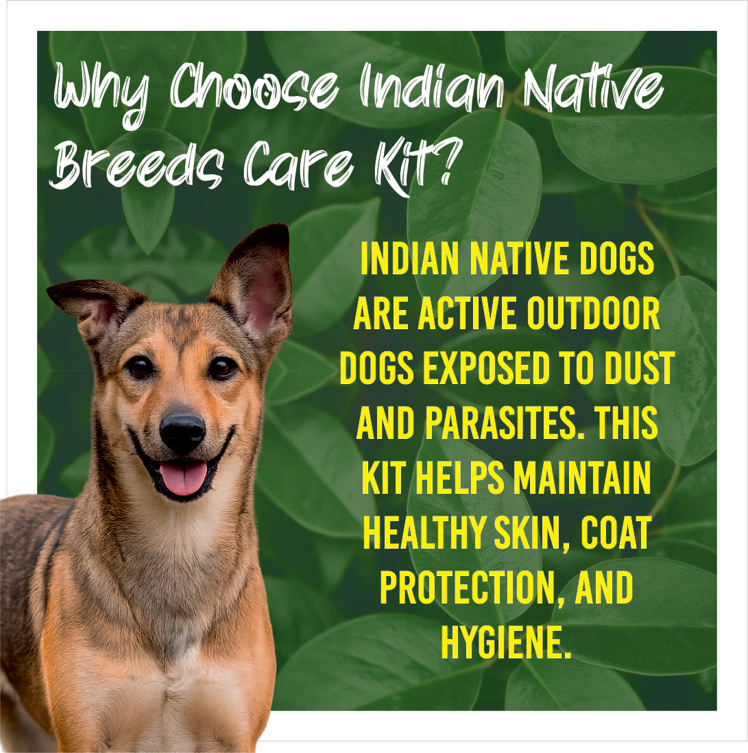 Dog with text about Indian native breeds care kit on a green leafy background