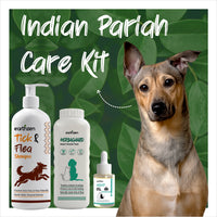 Dog with 'Indian Pariah Care Kit' products on a green leafy background