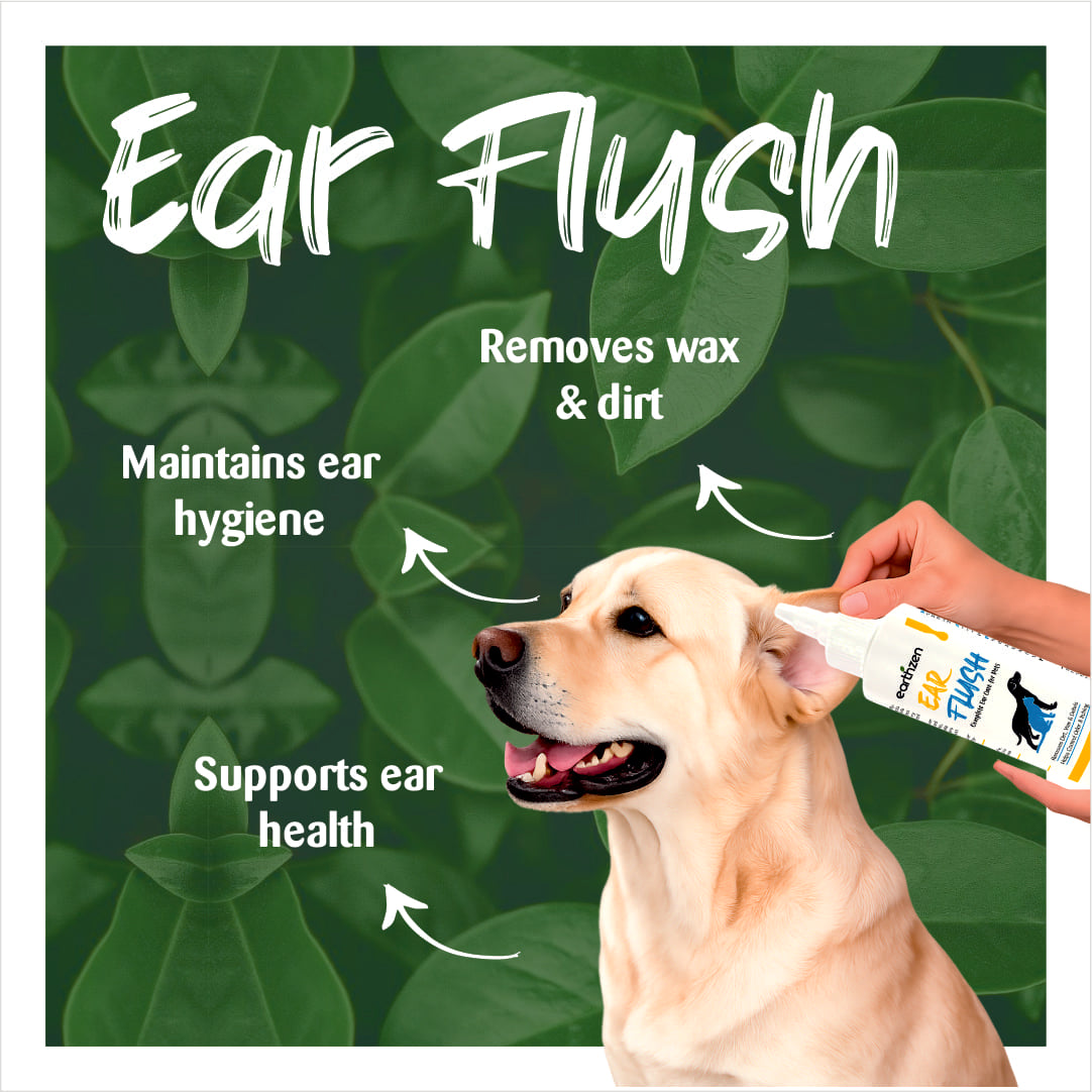 Dog being given Earthzen ear flush with text highlighting benefits on a green leafy background