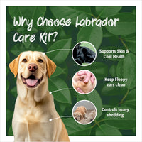 Labrador with text explaining the benefits of a care kit on a green leafy background