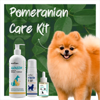 Pomeranian Care Kit with dog products and a Pomeranian dog on a green leafy background