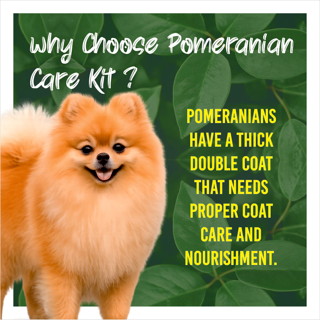 Pomeranian dog with text about choosing a care kit on a green leafy background