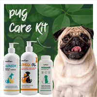 Pug Care Kit with three bottles and a pug dog on a green leafy background