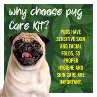 Pug with text about choosing a pug care kit on a green leafy background